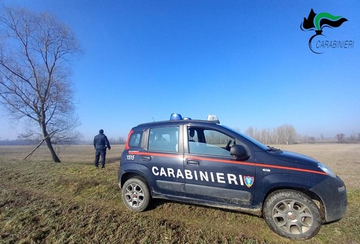 Occupavano senza titolo oltre 250 mila metri quadrati di terreni: denunciati dai carabinieri