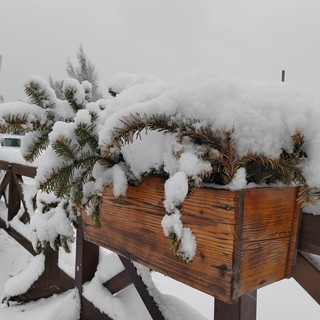 Nel Torinese inizio settimana con sole in pianura, foehn e maltempo in montagna